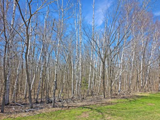 5520 36th Street SW, Pine River, MN 56474