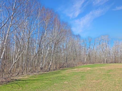 5520 36th Street SW, Pine River, MN 56474