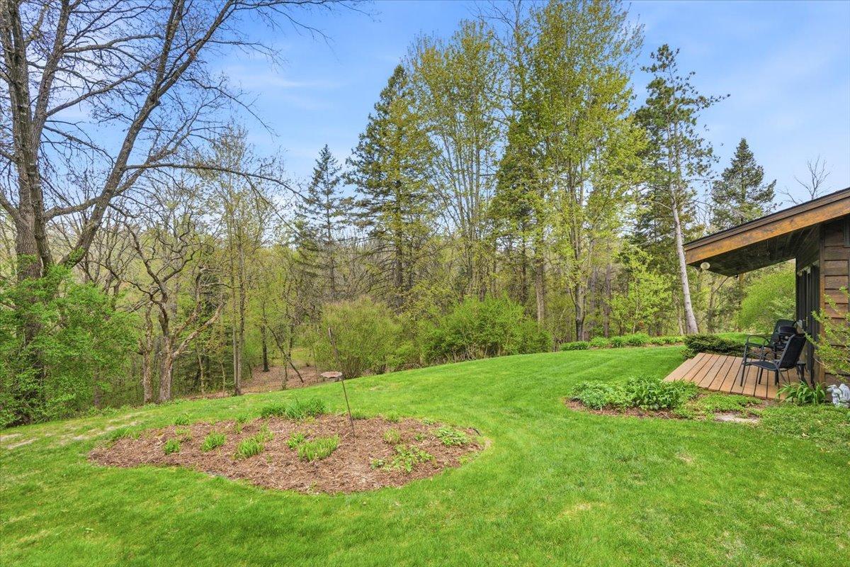 33-Backyard.jpg