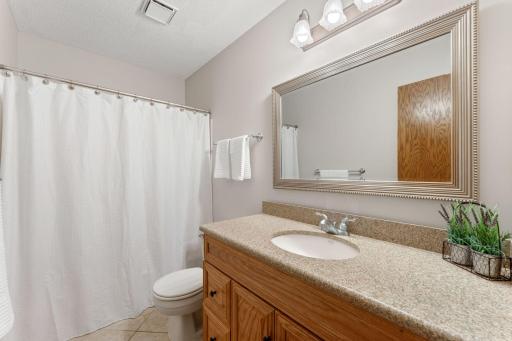 17128 Hannibal Court, Lakeville, MN 55044