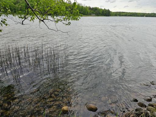 35365 E Boot Lake Road, Park Rapids, MN 56470