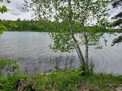 35365 E Boot Lake Road, Park Rapids, MN 56470