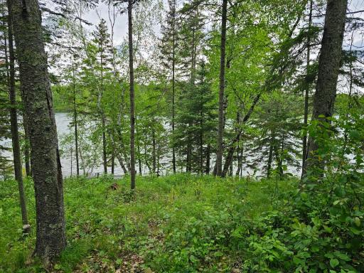 35365 E Boot Lake Road, Park Rapids, MN 56470