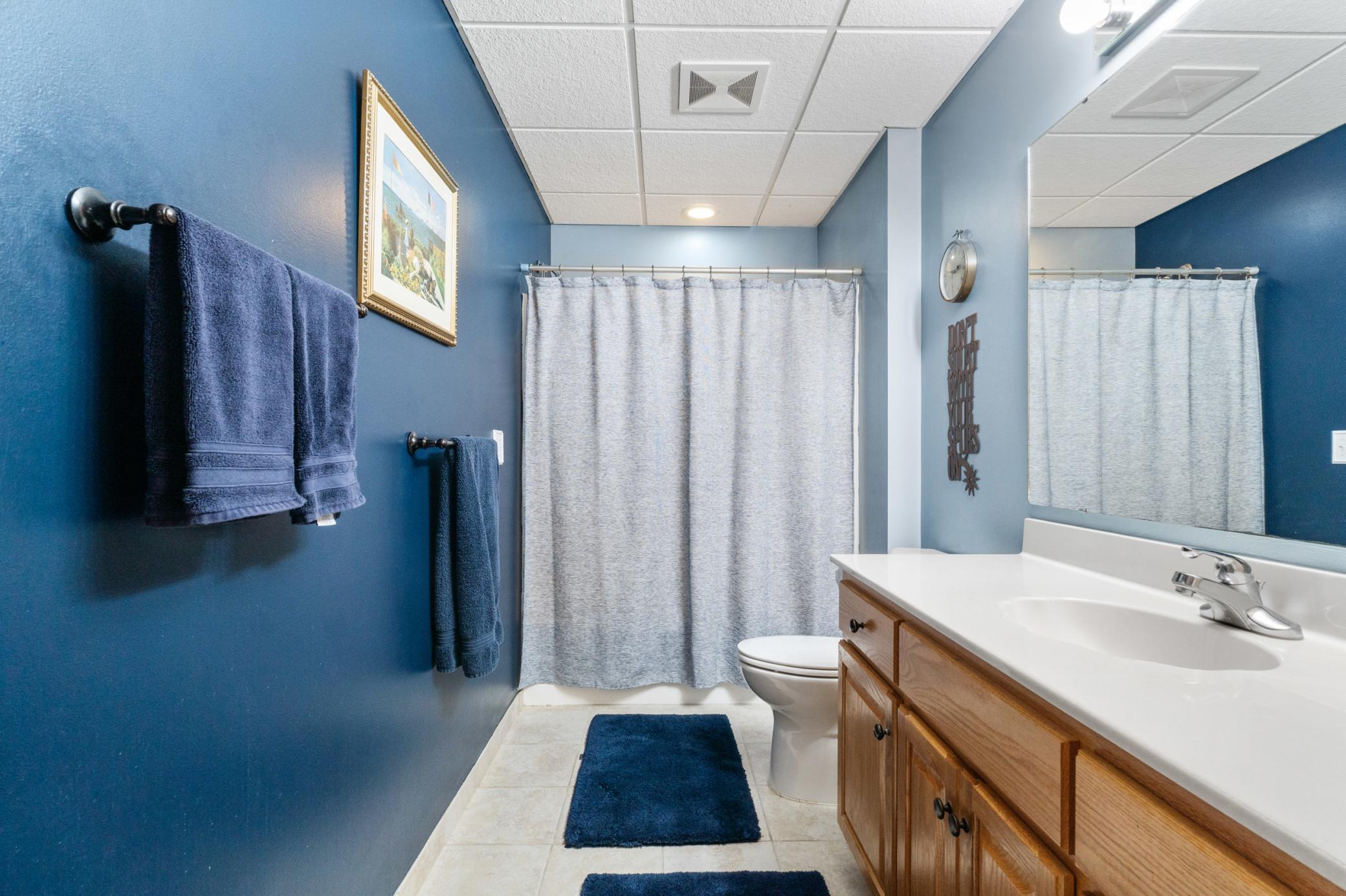 Basement Bathroom