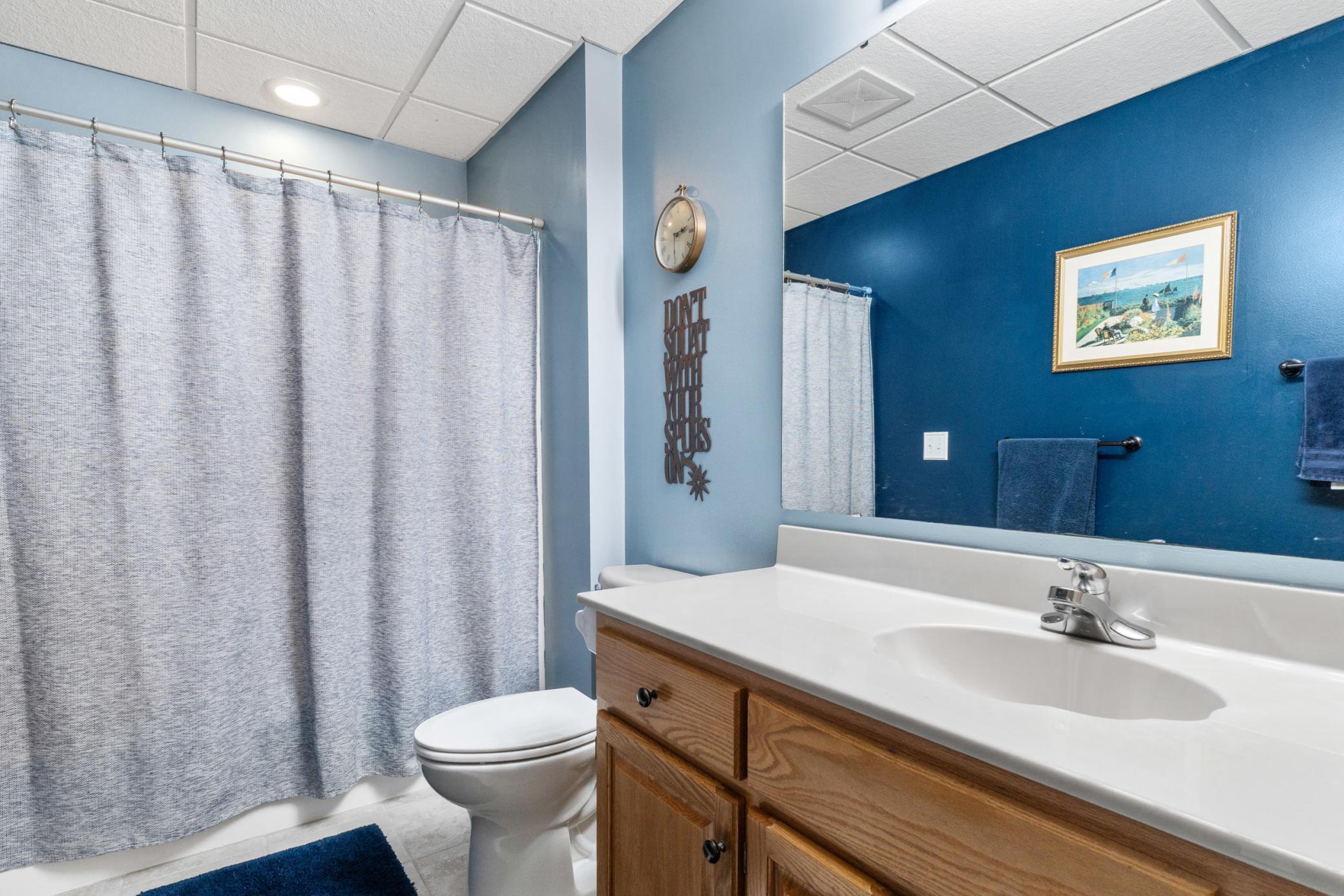 Basement Bathroom