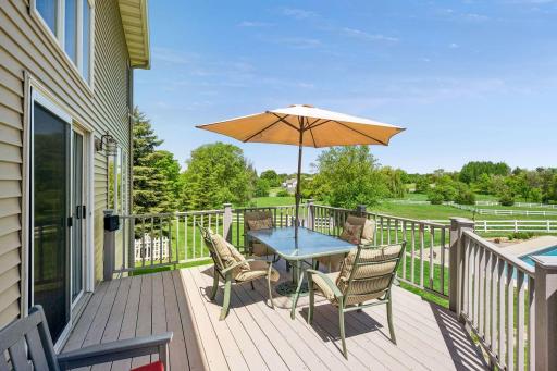 9820 High Bluff Lane, Corcoran, MN 55340