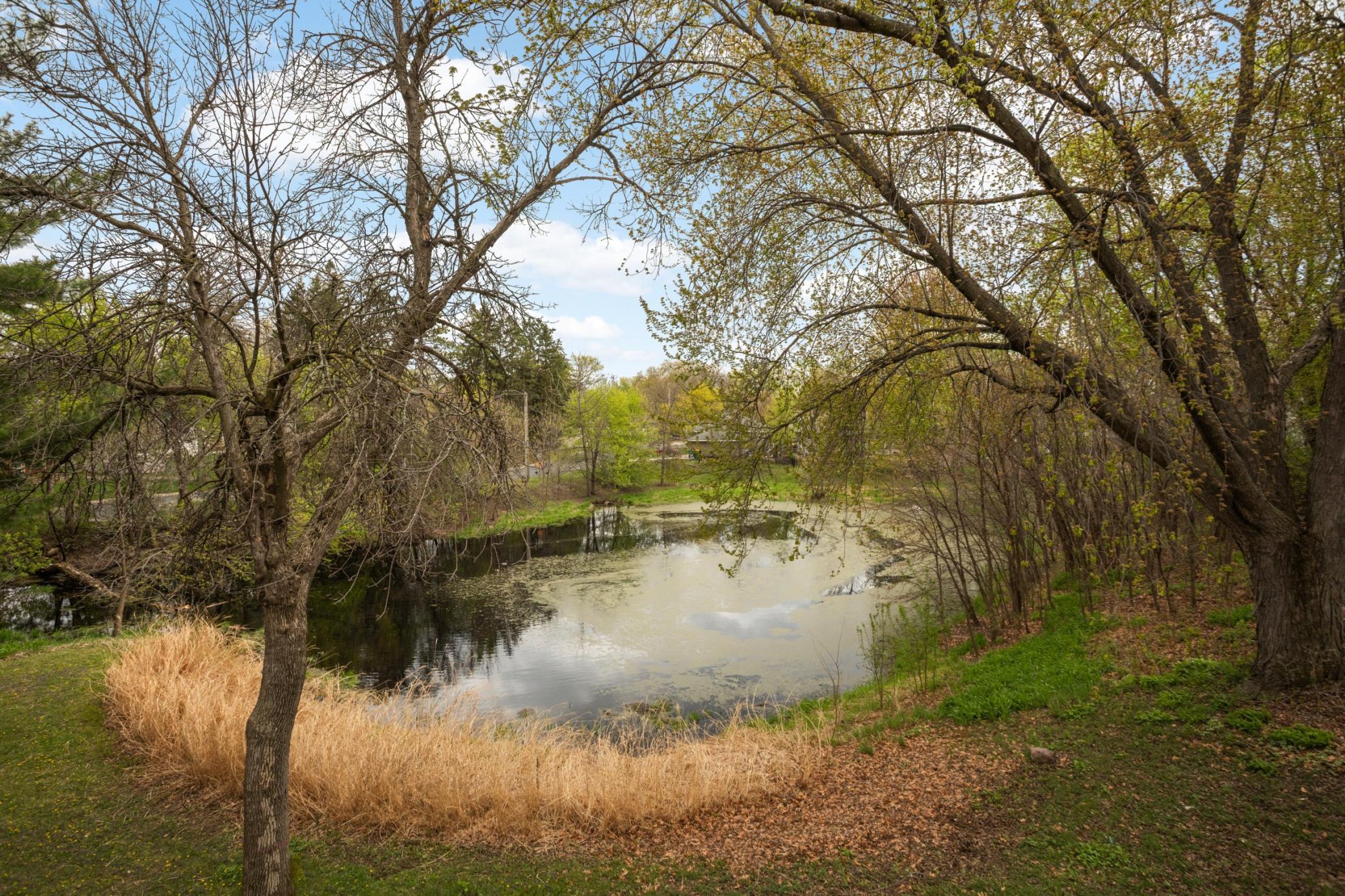 The home is adjacent to wooded park. The pond is great for ice skating in the winter!
