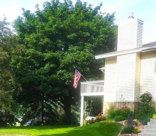 Lush, layered, and full of color â the kind of curb appeal that stops you in your tracks.