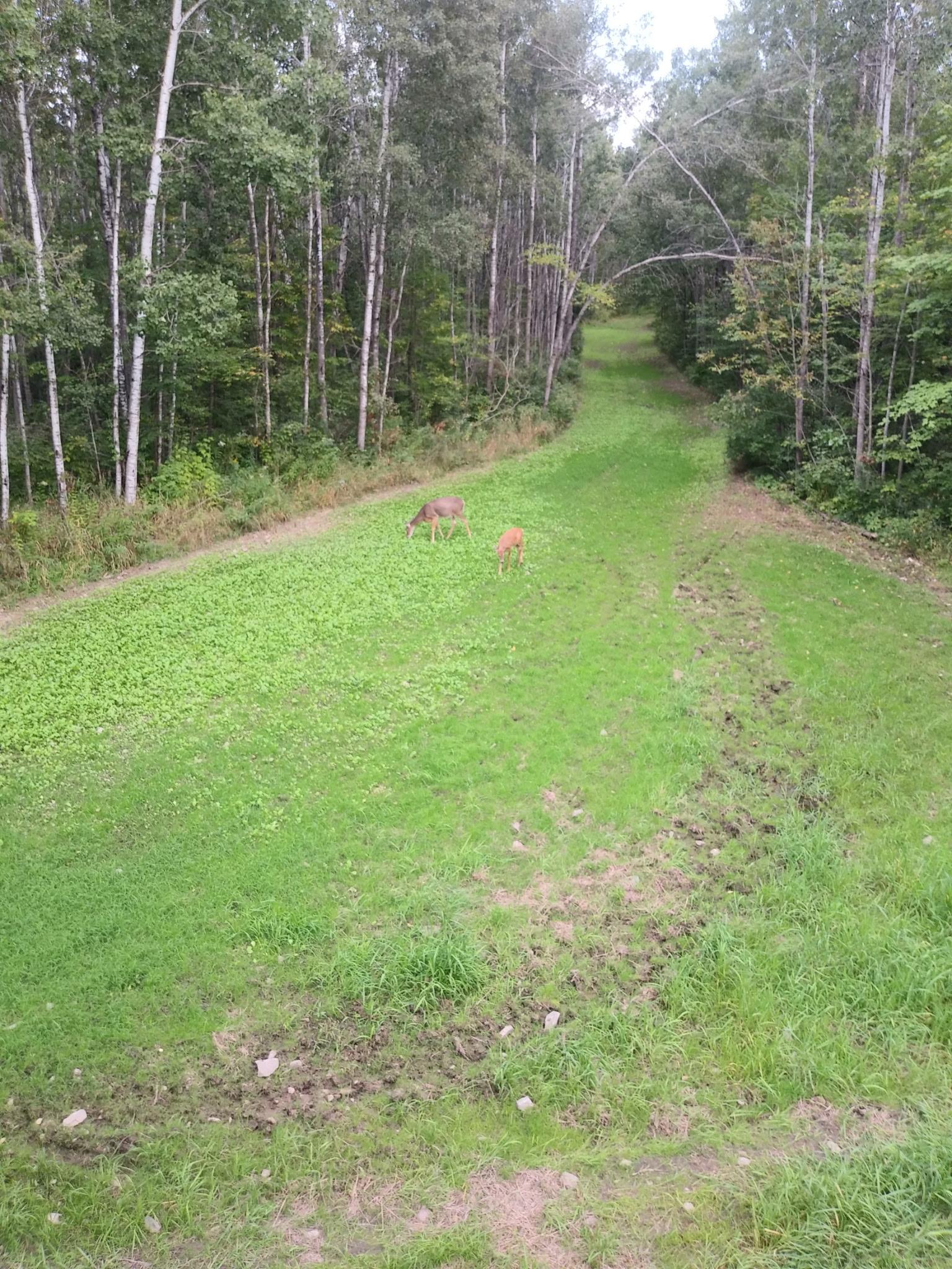 Photo 26