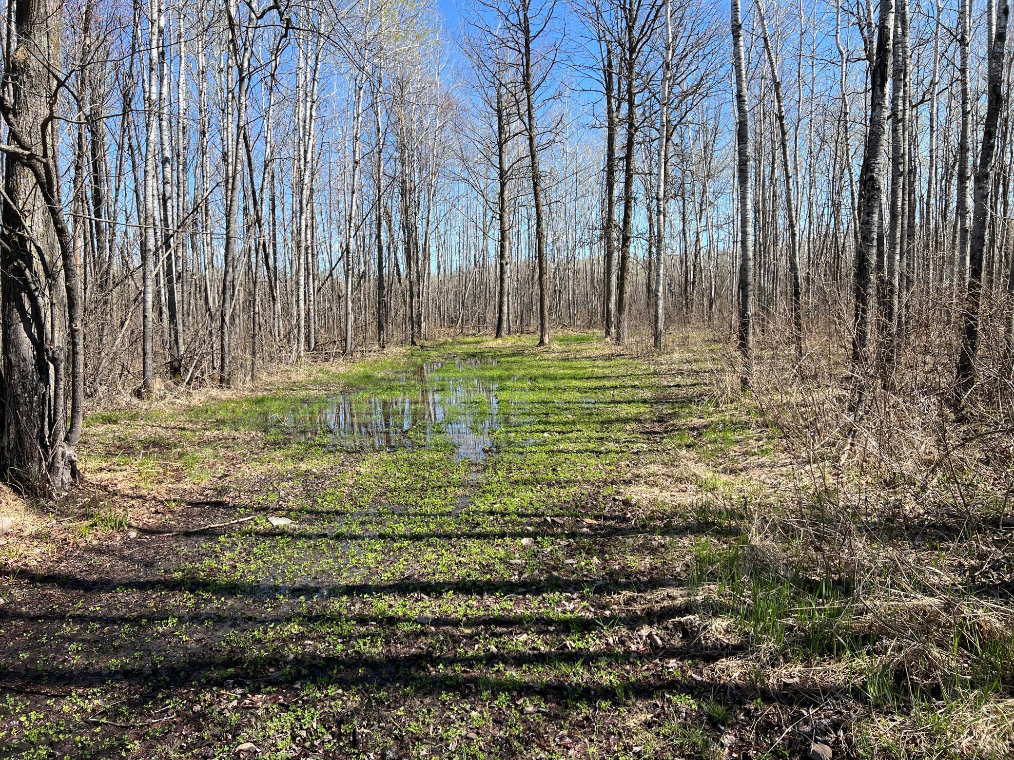 Photo 45
