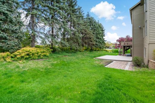10-web-or-mls-4540 Wellington Ln Plymouth MN_0011.jpg