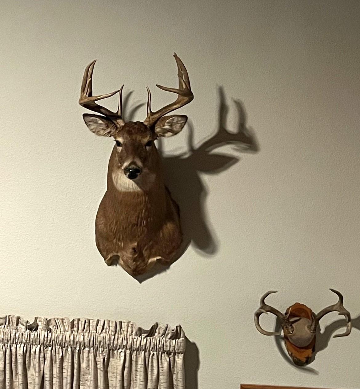 Deer that have been harvested off of property.