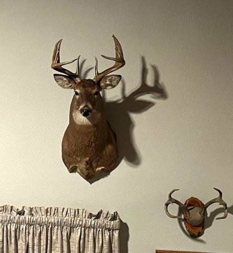 Deer that have been harvested off of property.