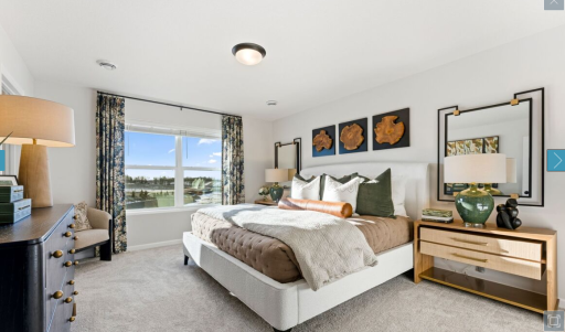 Owner's suite (staged model, representational photos for floorplan)