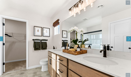Owner's Bathroom with walk-in closet (staged photos, representational photos for floorplan)
