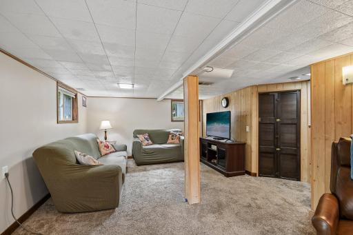 Lower level: Family room & Flex room entry
