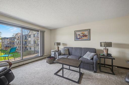 1304 W Medicine Lake Drive, 221, Minneapolis, MN 55441