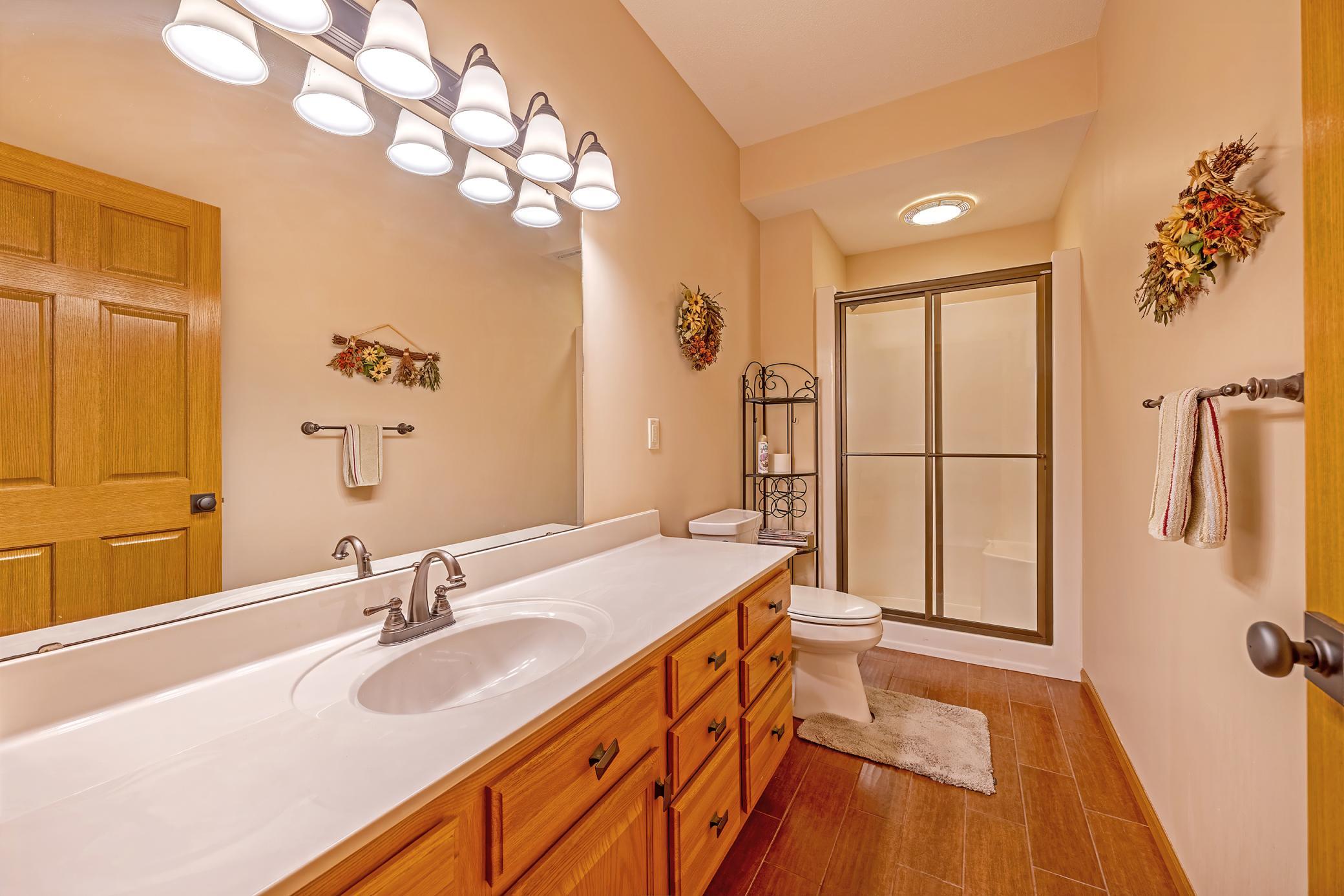 Lower Level - Bathroom.jpg