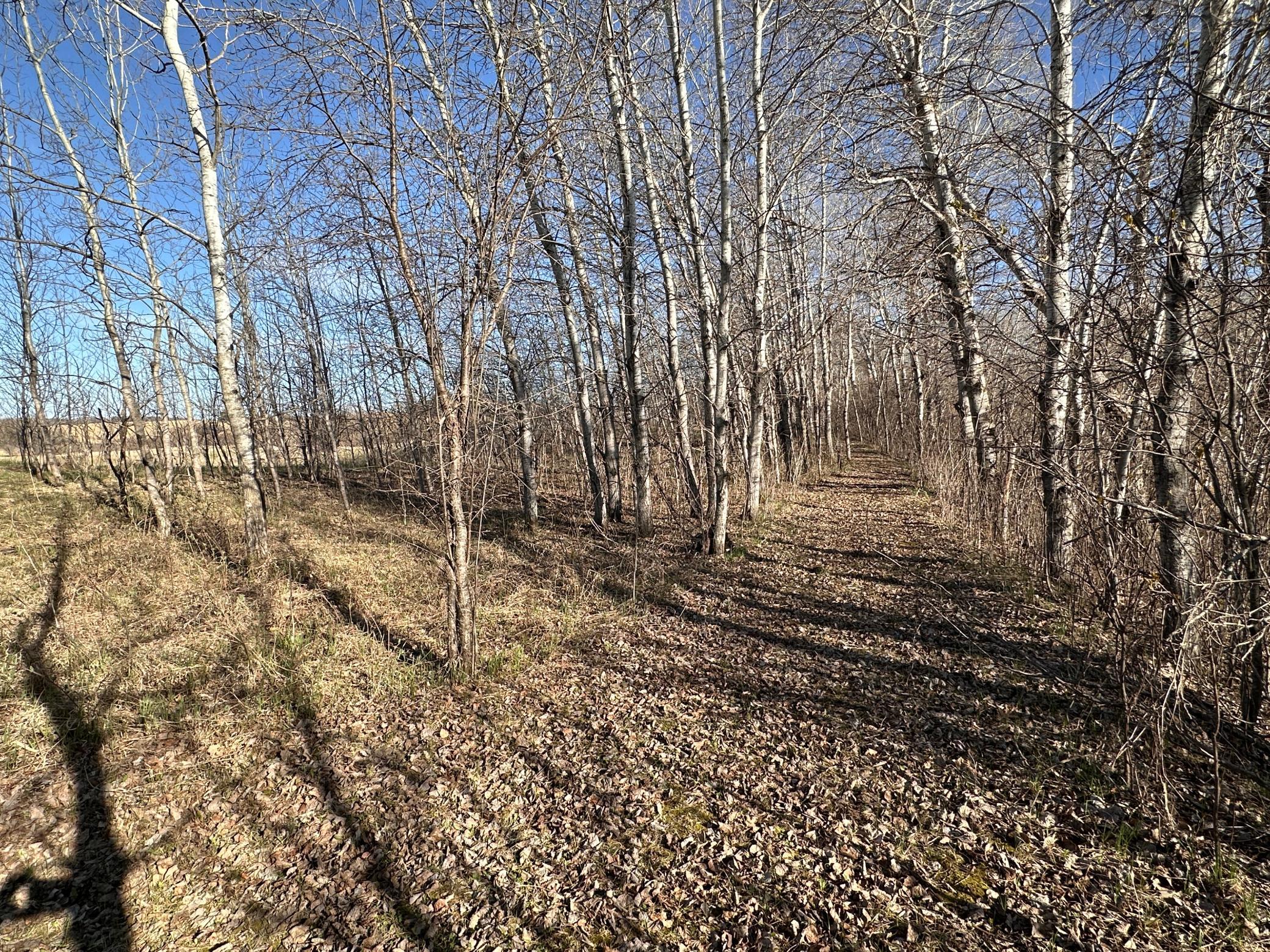IMG_2255.JPG