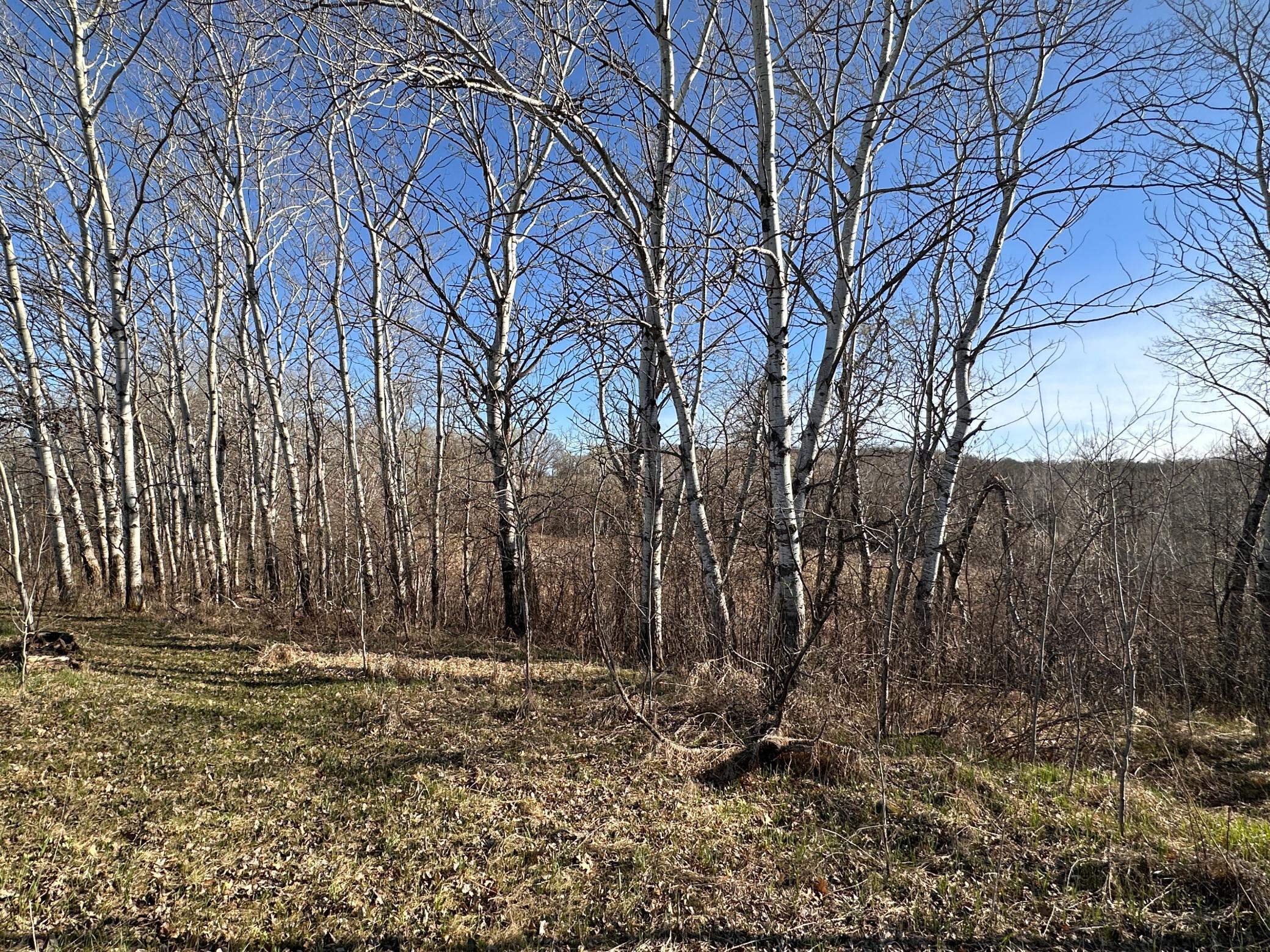 IMG_2253.JPG
