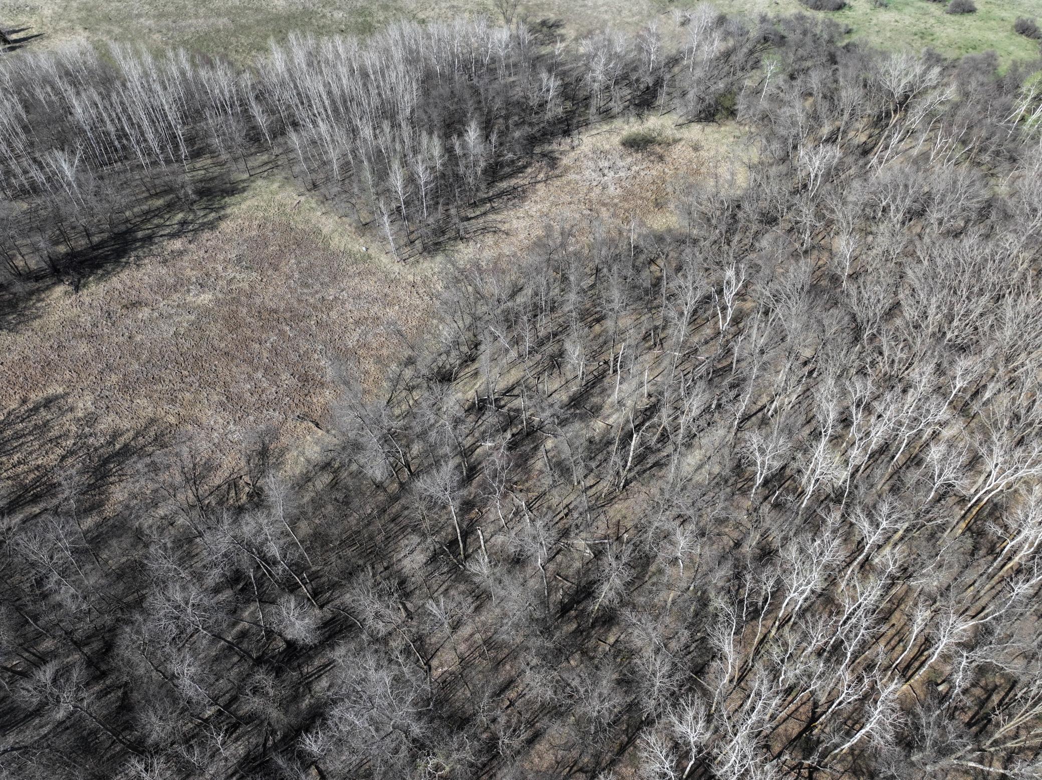 dji_fly_20260424_180154_0727_1777079275998_photo.jpg