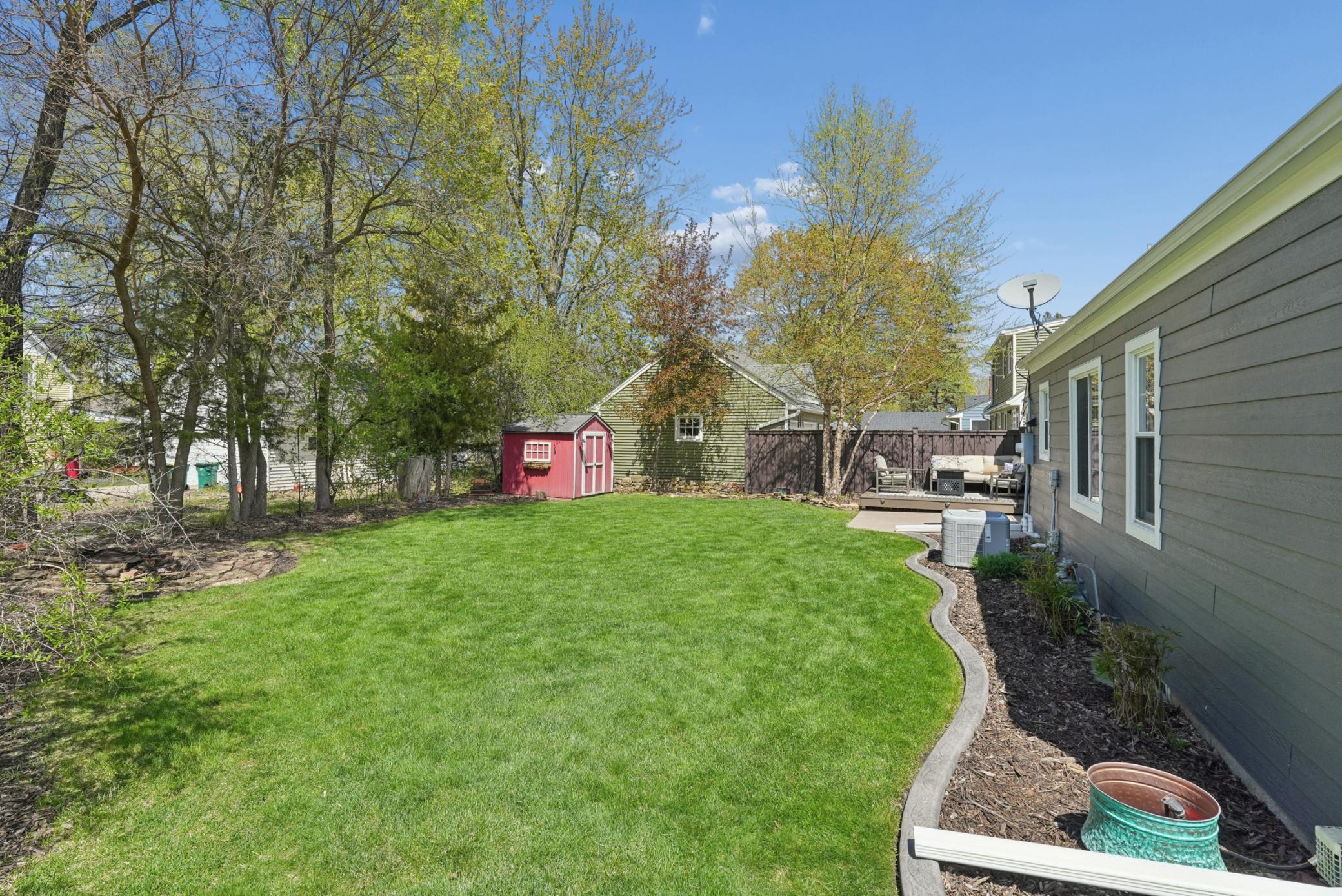The backyard.