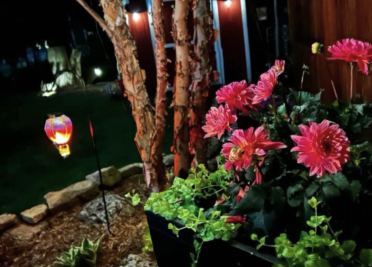Flower bed.