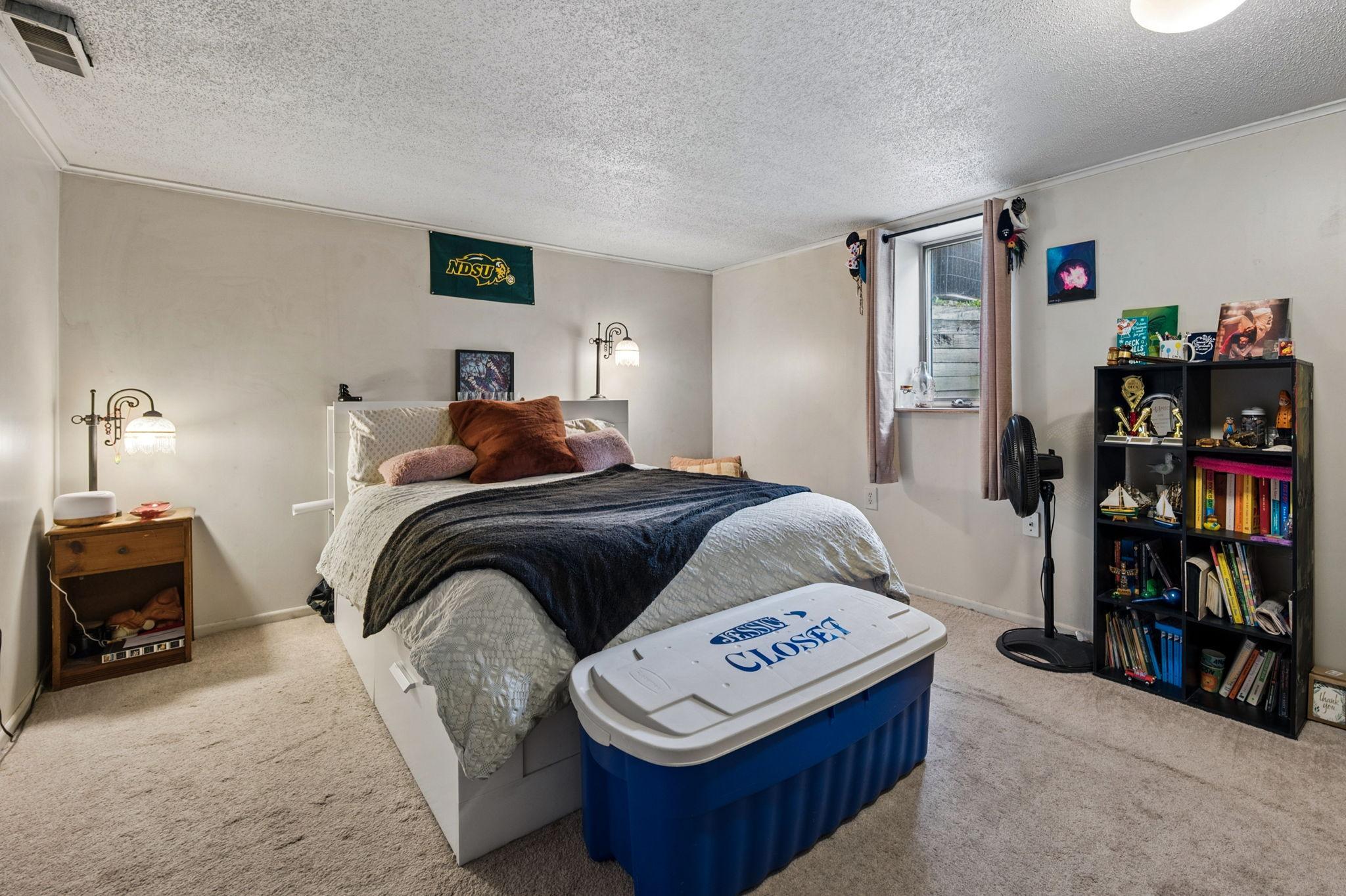 Lower Level 4th Bedroom