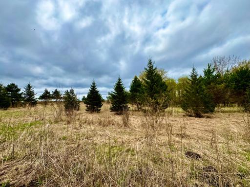 10809 Grand Lake Road, Rockville, MN 56320