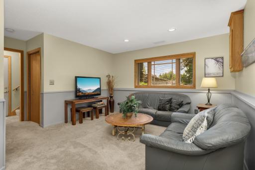 Lower-level family room with plenty of room to relax or entertain.