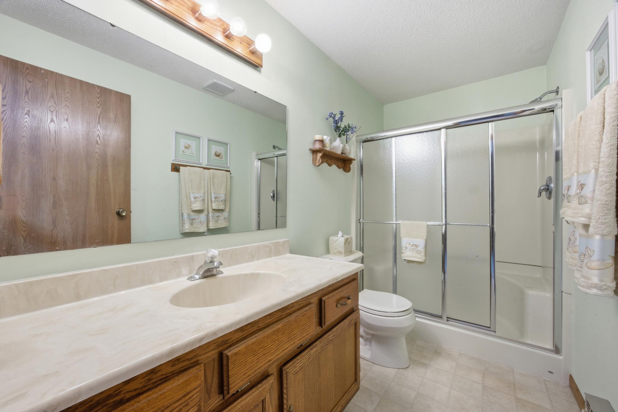 Lower level Bathroom