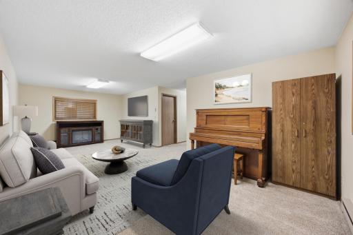 Lower level family room - Virtually Staged