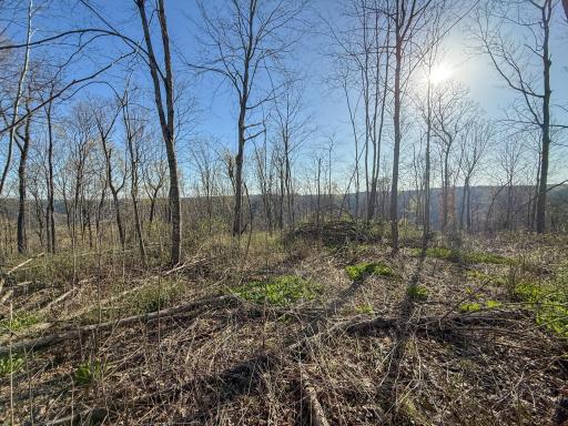 tbd Tierney Drive, Saint Charles, MN 55910