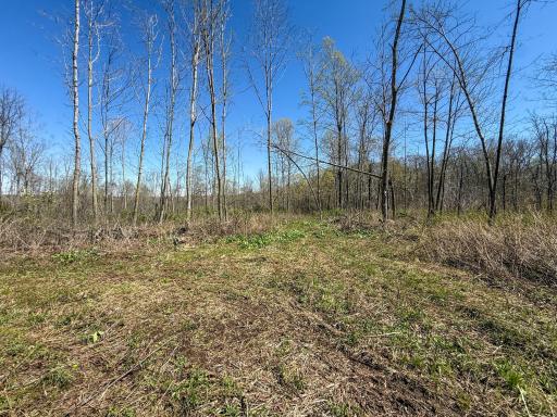 tbd Tierney Drive, Saint Charles, MN 55910