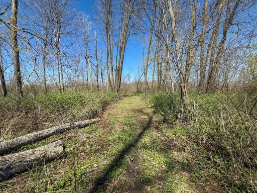 tbd Tierney Drive, Saint Charles, MN 55910