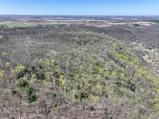 tbd Tierney Drive, Saint Charles, MN 55910
