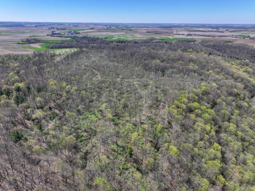 tbd Tierney Drive, Saint Charles, MN 55910