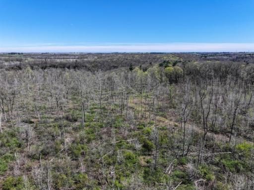 tbd Tierney Drive, Saint Charles, MN 55910
