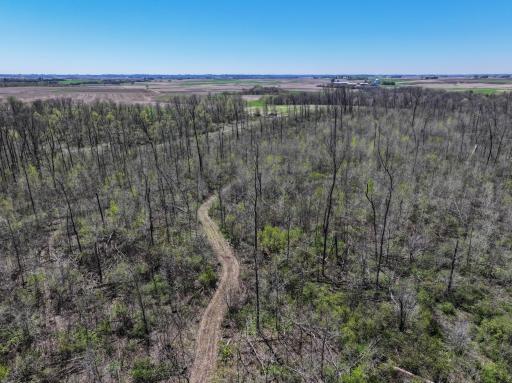 tbd Tierney Drive, Saint Charles, MN 55910