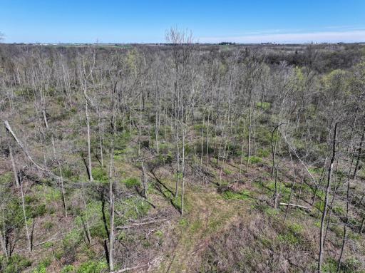 tbd Tierney Drive, Saint Charles, MN 55910