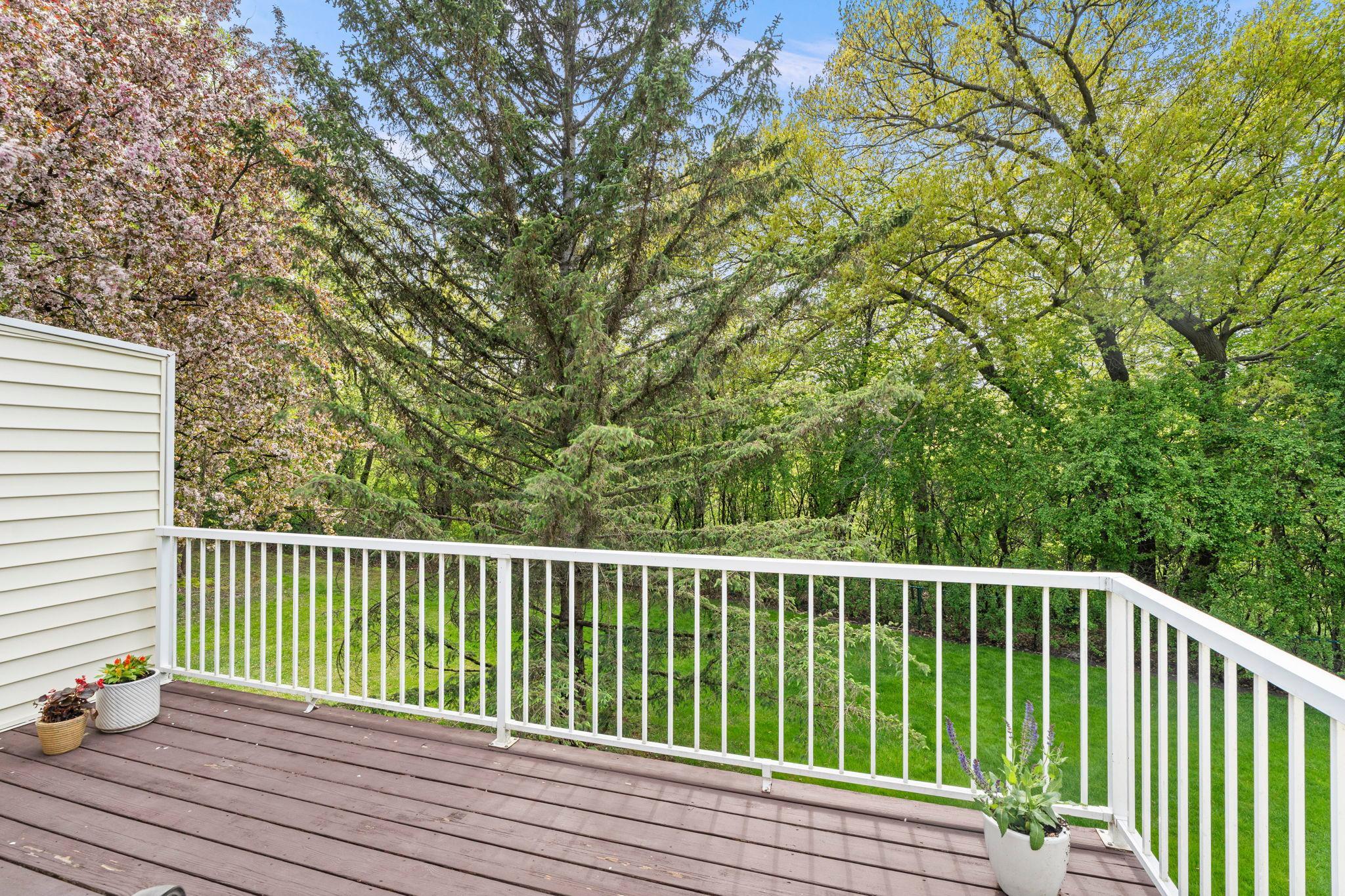 View from the deck - private backyard and heavy trees in Staring Lake Park. Staring Lake is just beyond the trees! The deck has a remote controlled retractable awning.