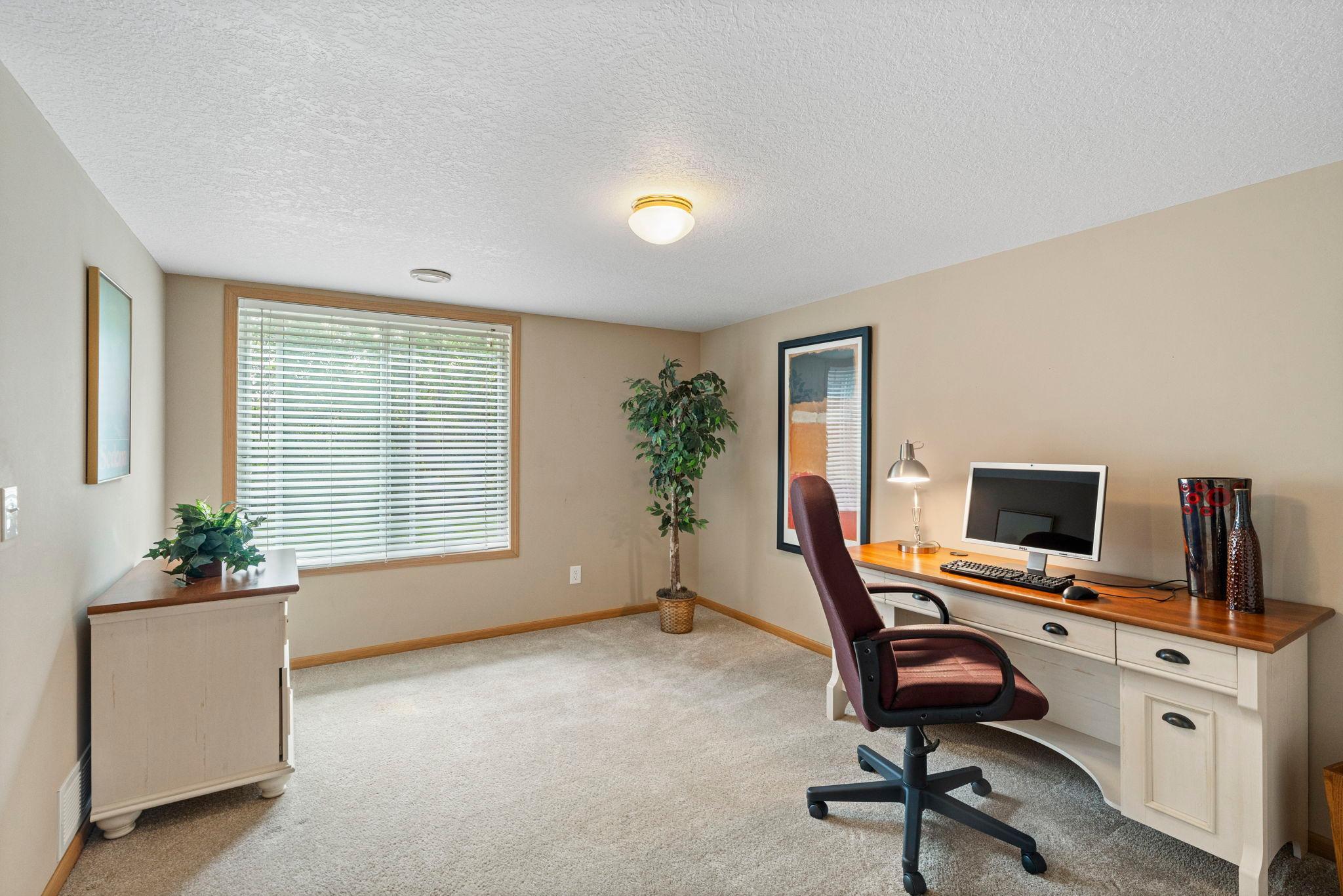 3rd bedroom is in the lower level, with view of the backyard.