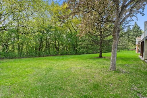 This is your view from the back of your house!