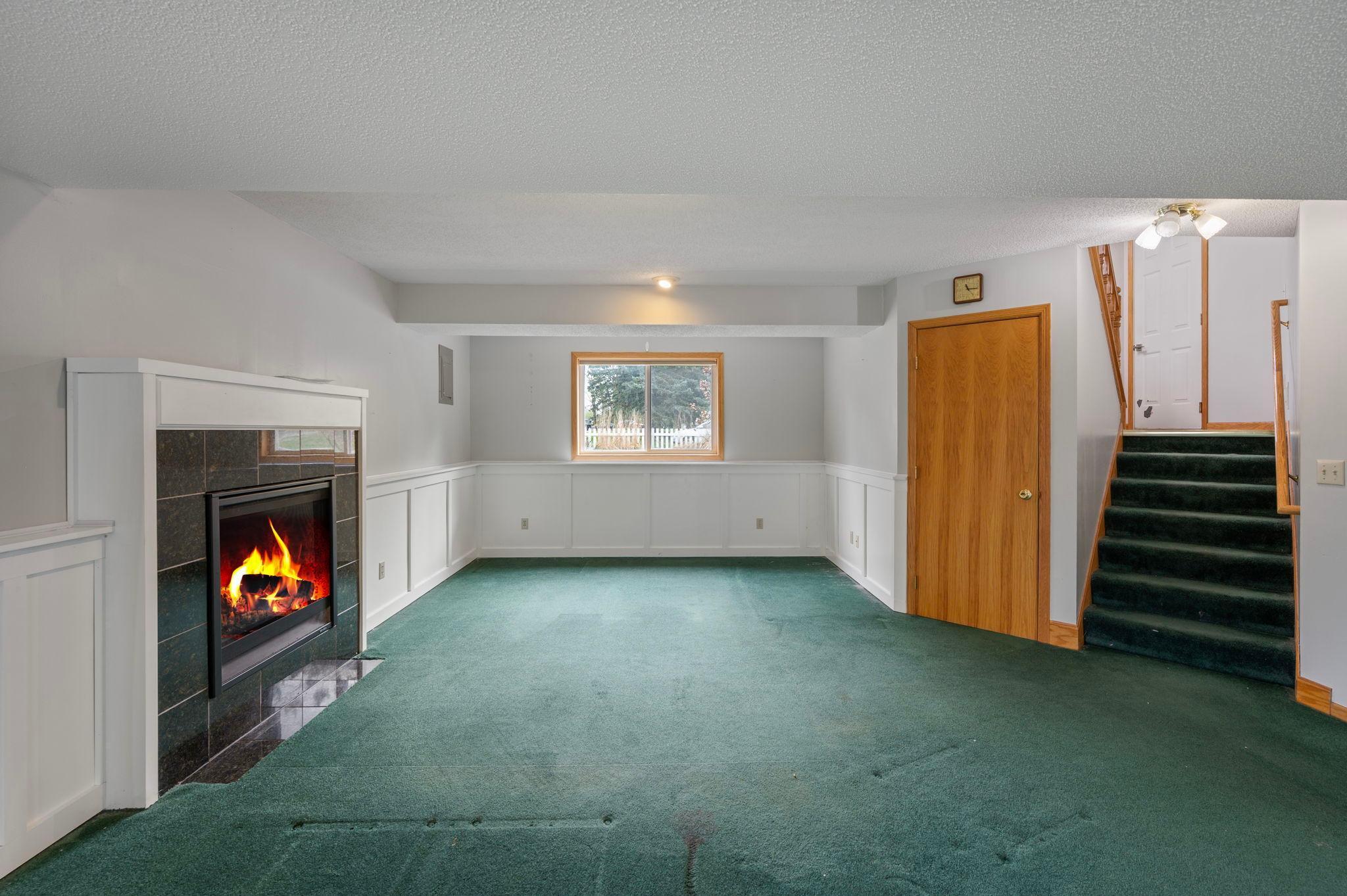 Basement Living Room