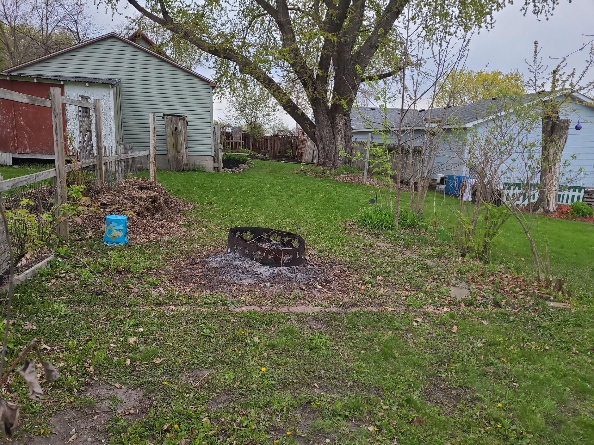 Back yard