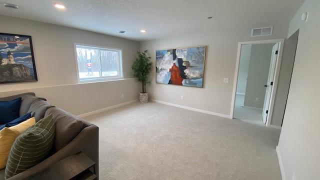 Lower level Family Room, 5th bedroom and another bathroom!