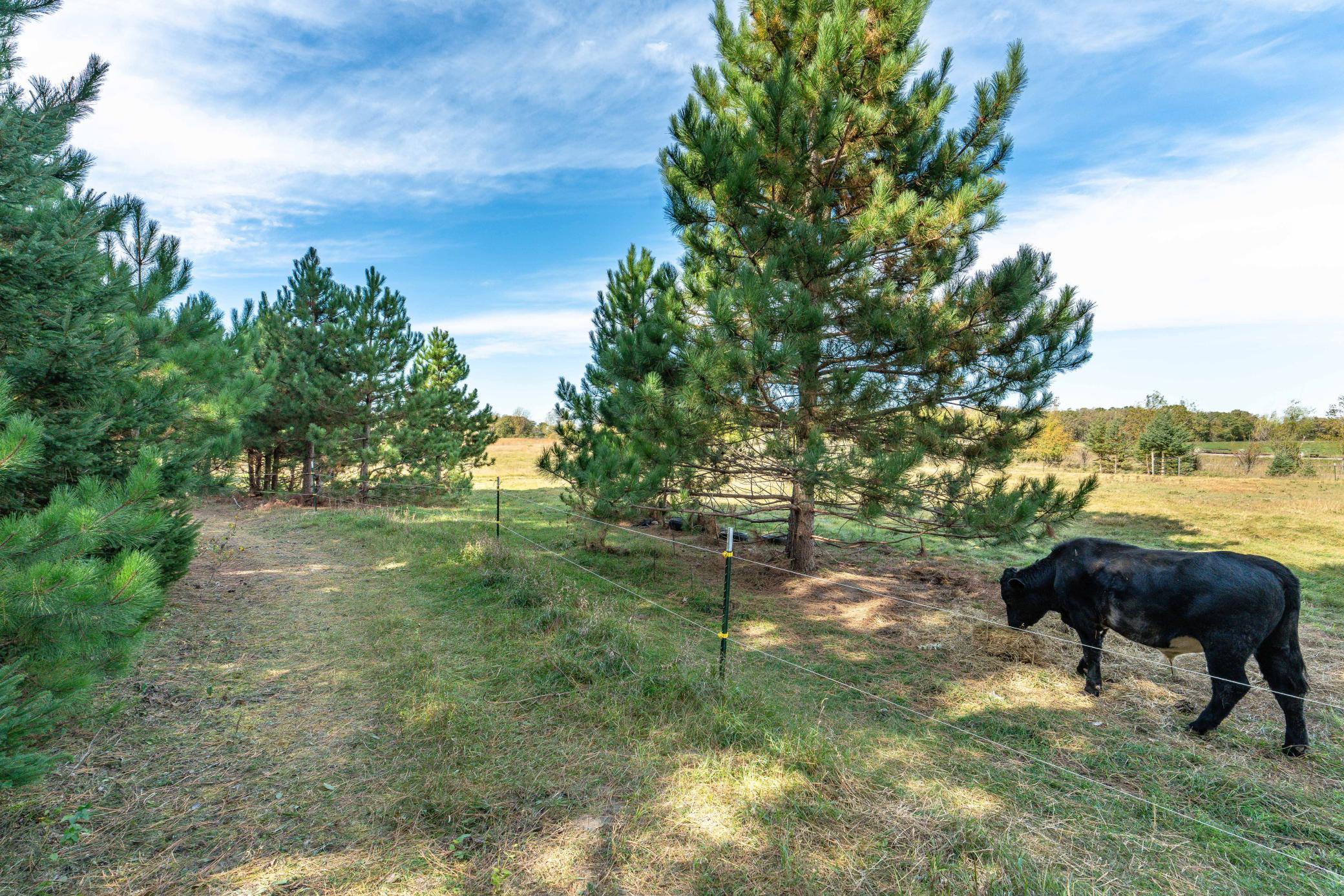 22939 510th Ave Henning-148.jpg