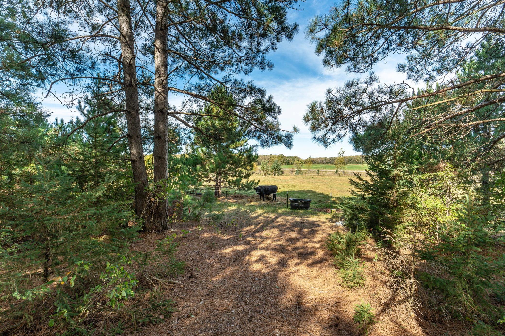 22939 510th Ave Henning-145.jpg