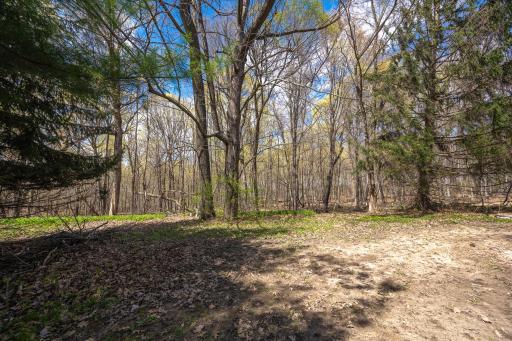 Gorgeous backyard views with 2 acres of private woods