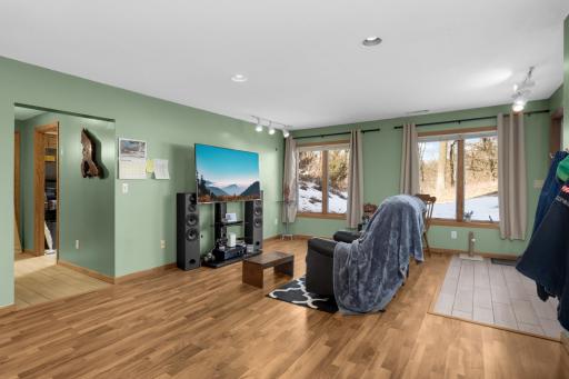 Lower level family room